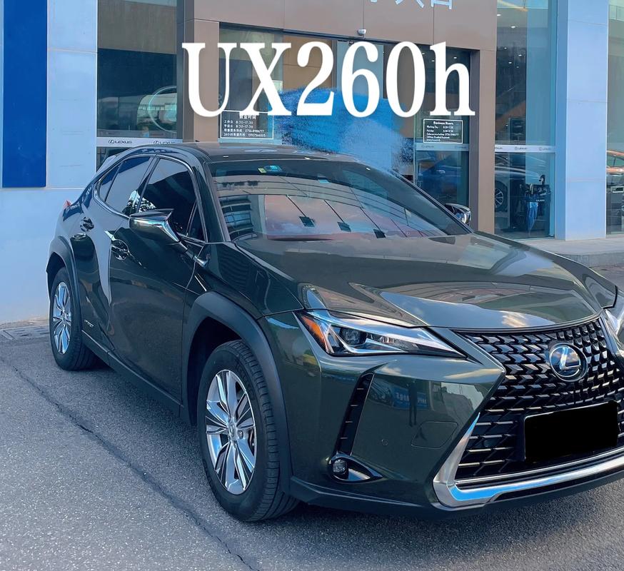 仰望汽车用户体验与服务优化，雷克萨斯未来汽车技术的探索者